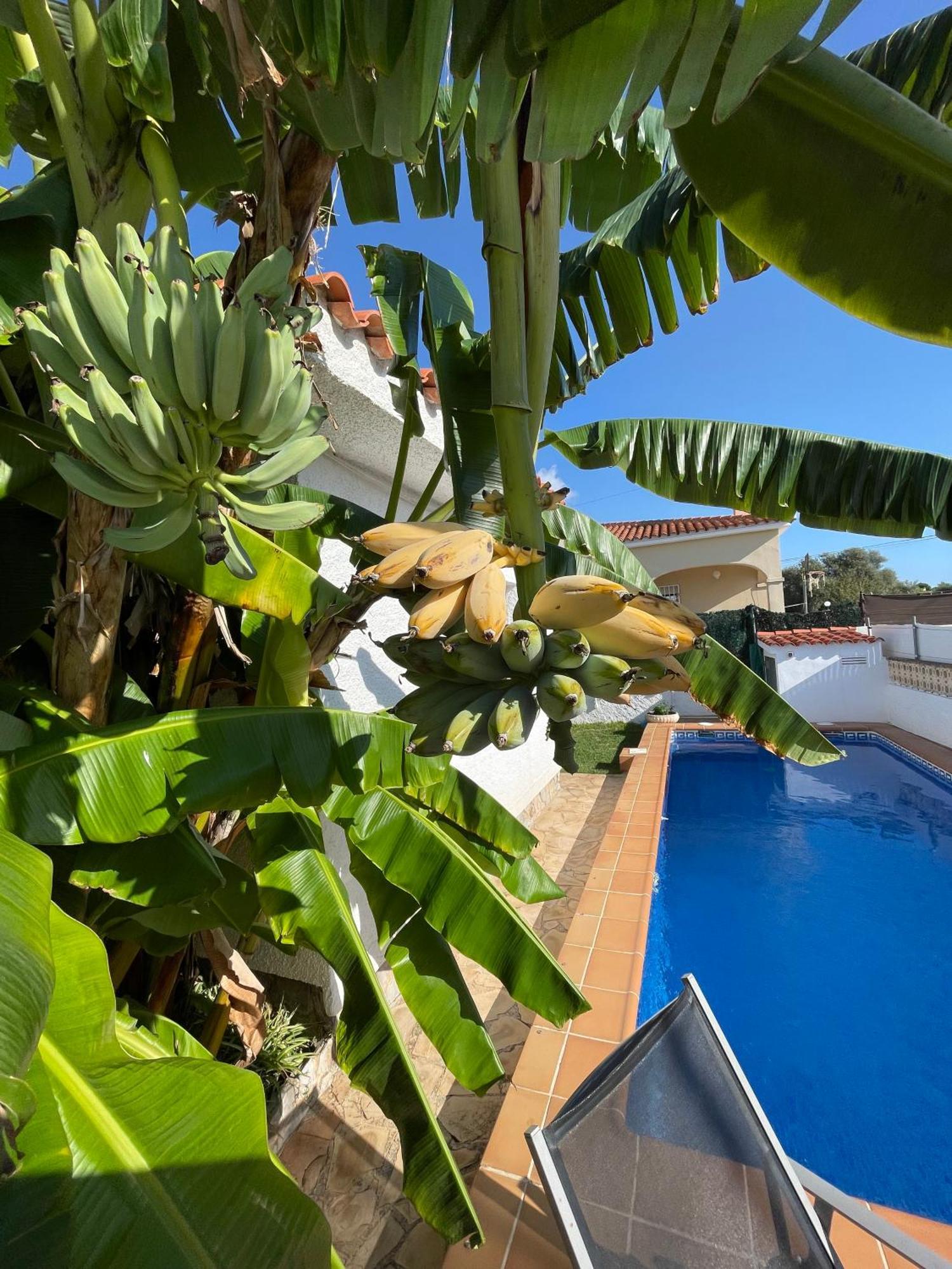 Villa Juani Vinarós Buitenkant foto